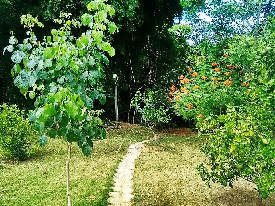 Pousada Orquideas Da Canastra Vargem Bonita Buitenkant foto